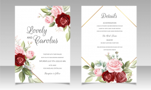 وکتور کادر و حاشیه سفید با گل های رز صورتی و قرمز